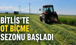Bitlis'te Ot Biçme Sezonu Başladı