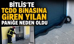 Bitlis'te TCDD Binasına Giren Yılan Paniğe Neden Oldu