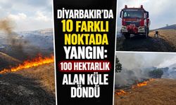 Diyarbakır'da 10 Farklı Noktada Yangın: 100 Hektarlık Alan Küle Döndü