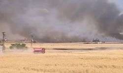 Diyarbakır'da buğday tarlası yangını: 30 dönüm kül oldu
