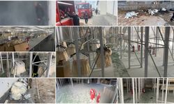 Bitlis’te Organize Sanayi Bölgesi’nde Fabrikada Yangın