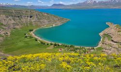 Van Gölü'nün kıyısındaki turizm cenneti: İncekaya köyü
