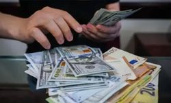 Döviz Kurlarında Yükseliş Devam Ediyor