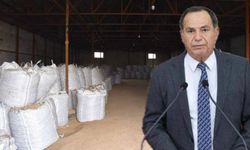 Bitlis’te 30 bin ton patates depolarda çürüyor iddiası Meclis gündemine taşındı