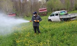 Bitlis’te Haşereyle Mücadelede Erken Önlem