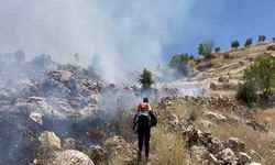 Mardin'de örtü yangını: 50 dönüm alan zarar gördü