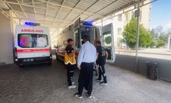 Mercimek hasadında çalışan 6 işçi hastanelik oldu