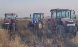 Mısır tarlası faciayı önledi: Buğday tarlası kül oldu