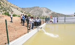 207 adet sulama havuzunun inşaatı devam ediyor