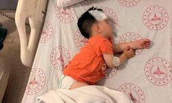 Sokak Köpeklerinin Saldırdığı 1,5 Yaşındaki Çocuk Yaralandı