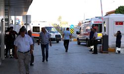 Arı Sokmasına Bağlı Alerjik Reaksiyonlar Ölüme Neden Olabilir