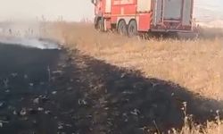 Batman'da 150 dönümlük anız yangını söndürüldü