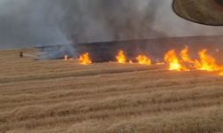 Diyarbakır'da 5 Bin Dönümlük Alanda Yangın