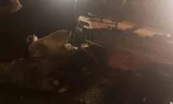 Aracın daldığı sürüdeki 15 koyun telef oldu