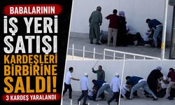 Miras Kavgası Kanlı Bitti! Kardeşler Birbirine Girdi: 3 Kardeş Yaralandı