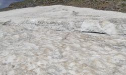 Bitlis'e komşu ilde sıcaktan kaçanların adresi Mereto Dağı oldu