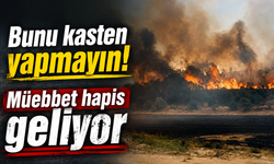 Bunu kasten yapmayın! Müebbet hapis geliyor