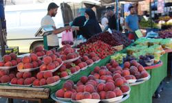 Pazarcı Esnafı Dertli: Fiyatlar Makul, Alım Gücü Düşük