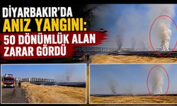Diyarbakır'da Anız Yangını: 50 Dönümlük Alan Zarar Gördü