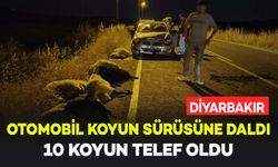 Diyarbakır'da otomobil koyun sürüsüne çarptı: 10 koyun telef oldu