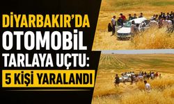 Diyarbakır'da Otomobil Tarlaya Uçtu: 5 Kişi Yaralandı