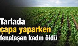 Diyarbakır'da tarlada çapa yaparken fenalaşan kadın öldü