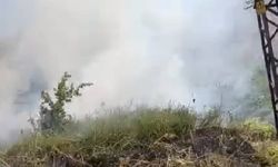 Bitlis’te mezarlık yangını