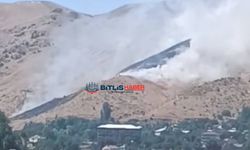 Bitlis'te Dağlık Alanda Çıkan Örtü Yangını Rüzgarın Etkisiyle Geniş Alana Yayıldı