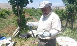 Bahçesinde yakaladığı yılanı öldürmeyip doğaya bıraktı
