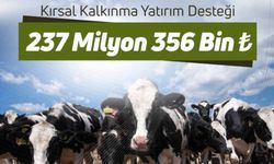 237 Milyon Liralık Tarımsal Destek Çiftçilerin Hesaplarına Yatırılıyor