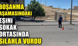 Boşanma Aşamasındaki Eşini Sokak Ortasında silahla Vurdu