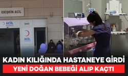 Hemşire Kılığına Girip Hastaneden Yeni Doğan Bebeği Kaçırdı