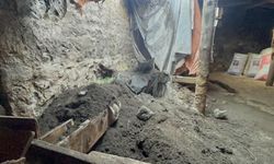 Kars'ta sağanak nedeniyle ahır çöktü