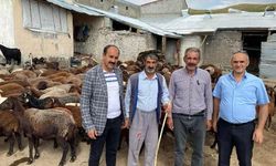 Küçükbaş yetiştiricilerine destek! Makine hibesi ve uygun fiyatlı ilaç