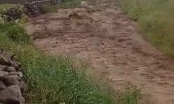 Meteoroloji uyarmıştı: Kars'ta sel