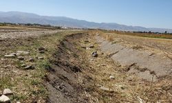 Muş'ta sıcaklıklar yükselişe geçiyor; 5 günlük hava durumu