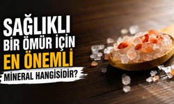 Sağlıklı bir ömür için en önemli mineral hangisidir?
