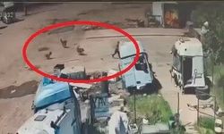 Sokak köpeklerinin saldırdığı çocuğu, babası ve amcası kurtardı
