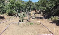 Tunceli'de mayınlı alanlar temizlenerek tarıma kazandırılıyor
