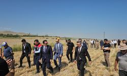 Vali Karakaya Adilcevaz'da Çiftçilerle Hasat Mesaisine Katıldı