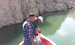 Van’da sazangiller için av yasağı sona erdi