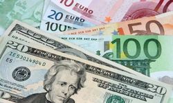 Dolar ve Euro bugün ne kadar? 18 Ağustos güncel döviz kurları