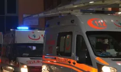 Bingöl’de otomobil yoldan çıktı: 2 yaralı