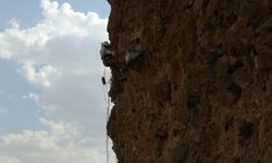 Bitlis'e komşu ilde öğretmenlikten kaya balı hasadına: Dronla görüntülendi