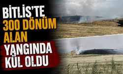 Bitlis'te 300 dönüm alan yangında kül oldu