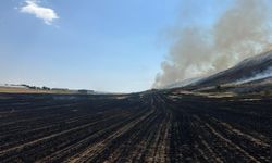 Bitlis'te alevler tarlaları sardı: 400 dönüm kül oldu