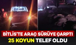 Bitlis'te hafif ticari araç sürüye çarptı: 25 koyun telef oldu