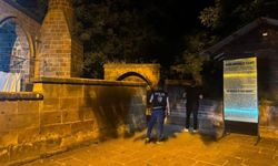 Bitlis'te tarihi ve kültürel alanlarda denetim