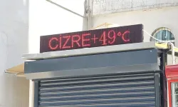 Cizre'de termometreler 49 dereceyi gösterdi