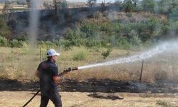 Siirt’te tarım arazileri alevlere teslim oldu: 85 dönüm zarar gördü
